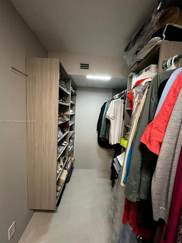 view of walk in closet