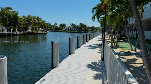 dock area with a water view