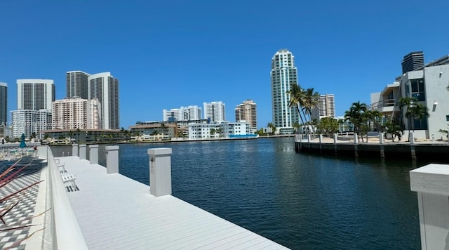 dock area with a water view