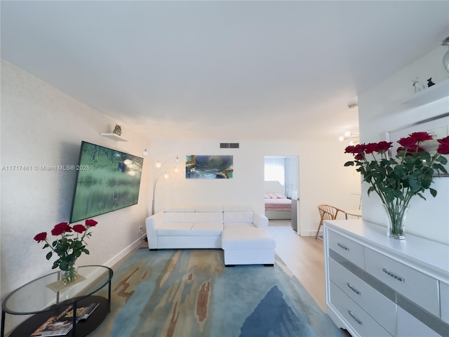 living room with wood-type flooring