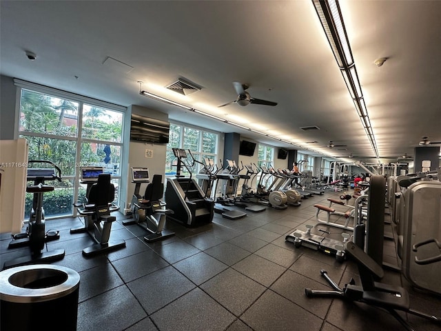 workout area with expansive windows and ceiling fan