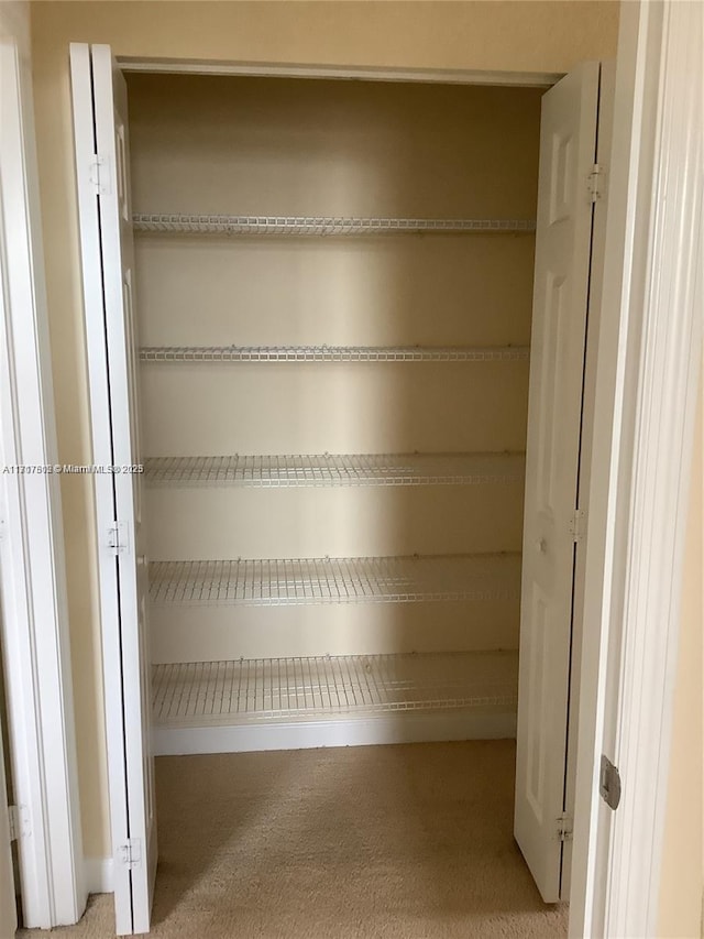 view of closet