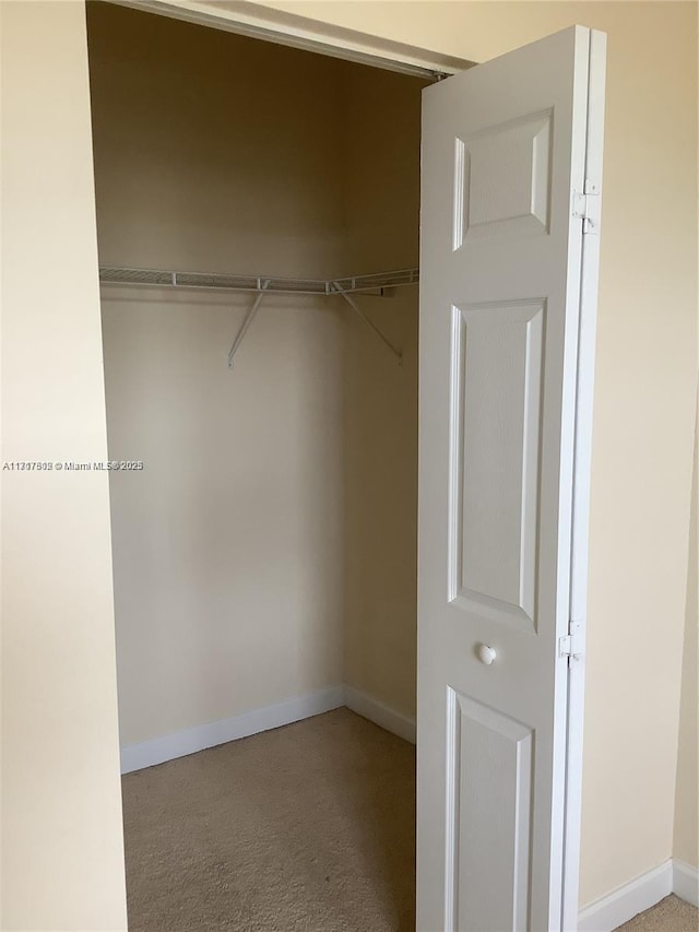 view of closet