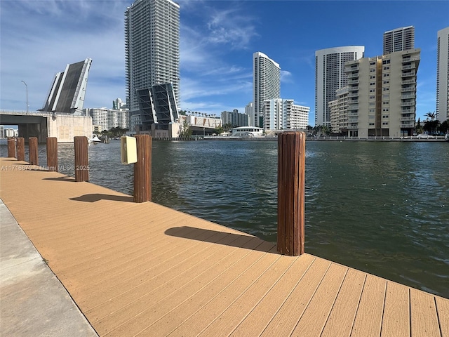 dock area with a water view