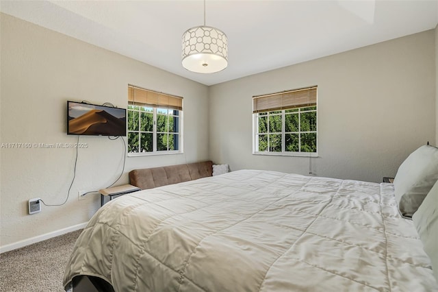 bedroom featuring carpet flooring