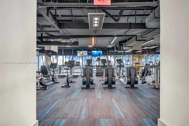 exercise room with carpet, expansive windows, and a healthy amount of sunlight