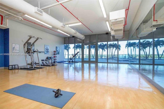 exercise room with hardwood / wood-style floors, floor to ceiling windows, and a healthy amount of sunlight