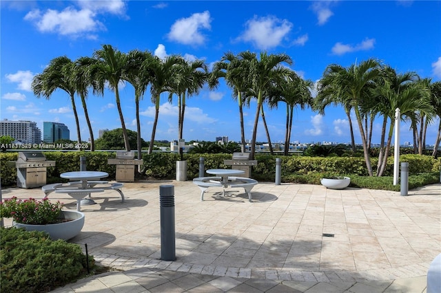 view of patio / terrace with a grill