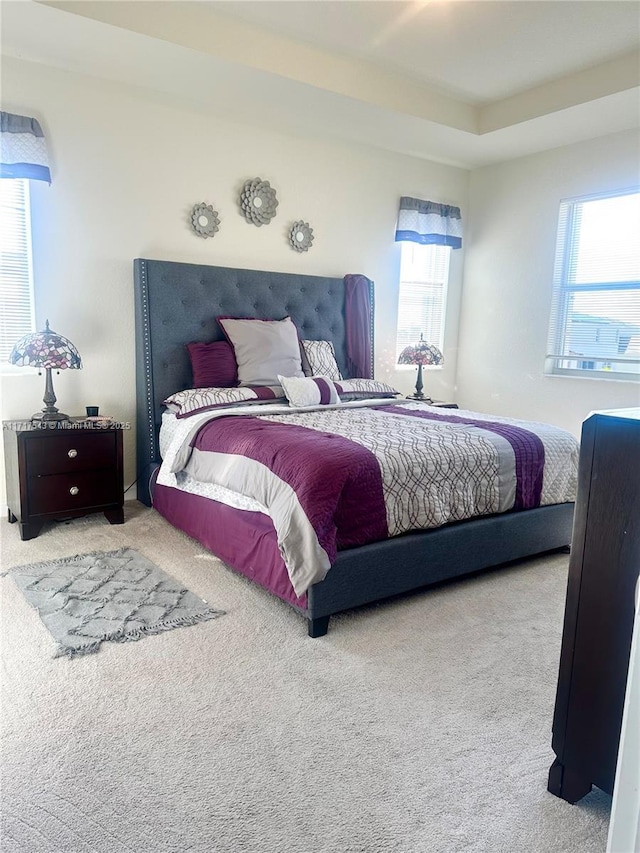 carpeted bedroom with a raised ceiling and multiple windows