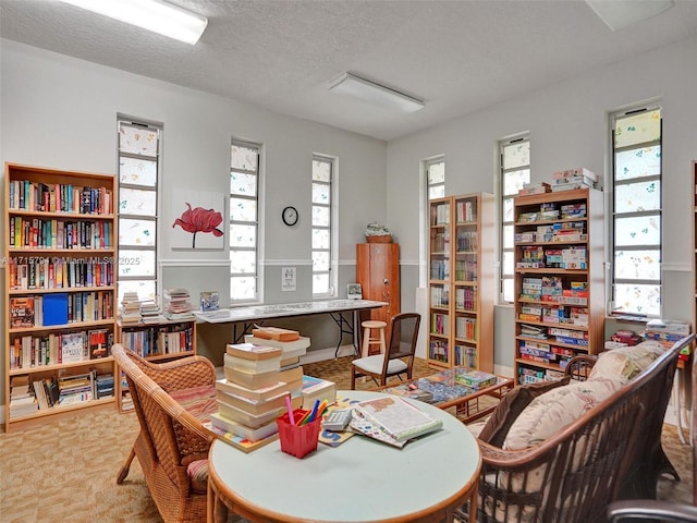 sitting room with plenty of natural light and a textured ceiling