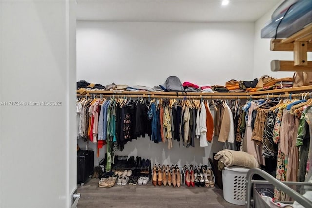 walk in closet with wood-type flooring