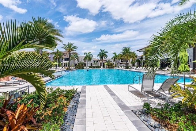 view of swimming pool featuring a patio