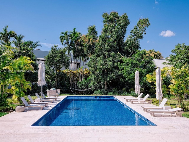 view of swimming pool featuring a patio area