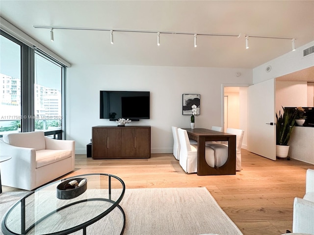 living room with rail lighting and light wood-type flooring