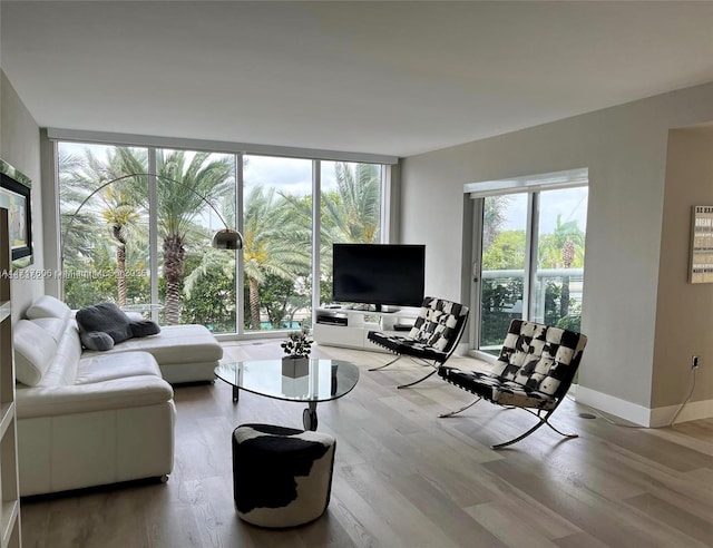 living room with hardwood / wood-style floors and a wall of windows