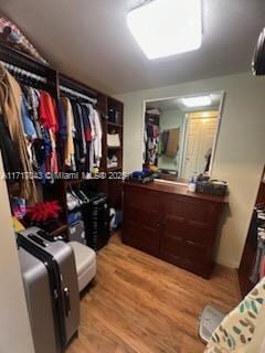 spacious closet featuring light hardwood / wood-style flooring