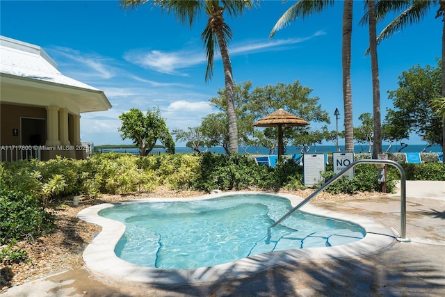 view of swimming pool