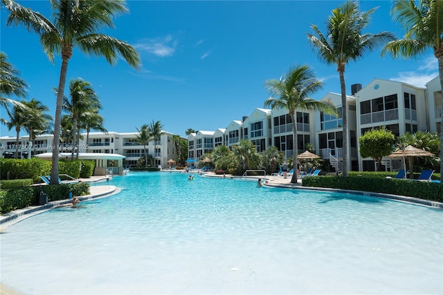 view of swimming pool