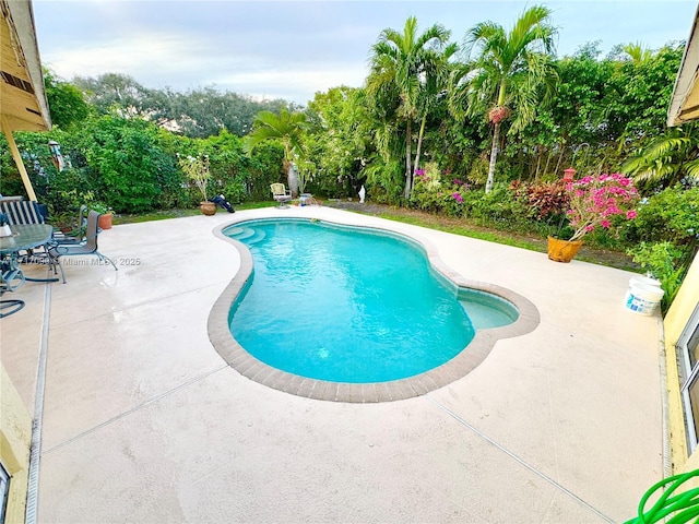 view of pool with a patio area