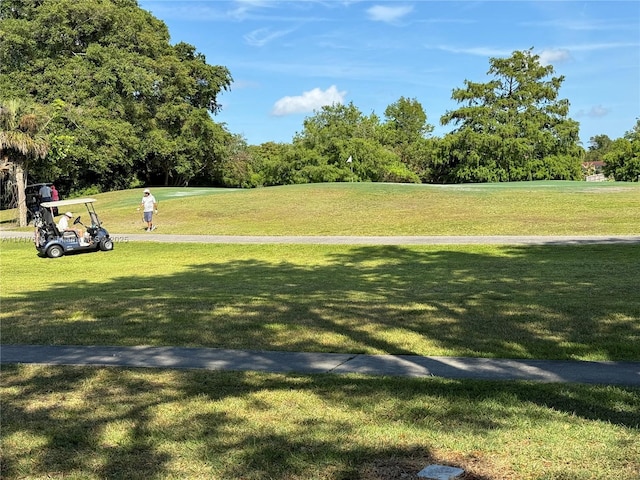 view of community with a lawn