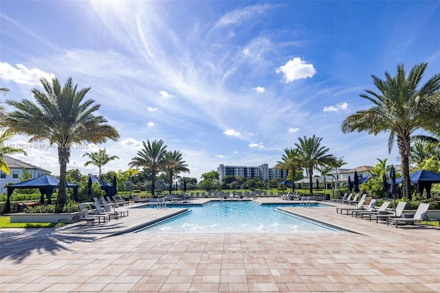 view of swimming pool with a patio