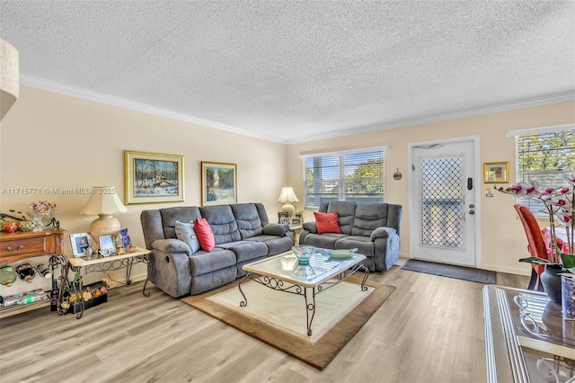 living room with a textured ceiling, wood-type flooring, and crown molding