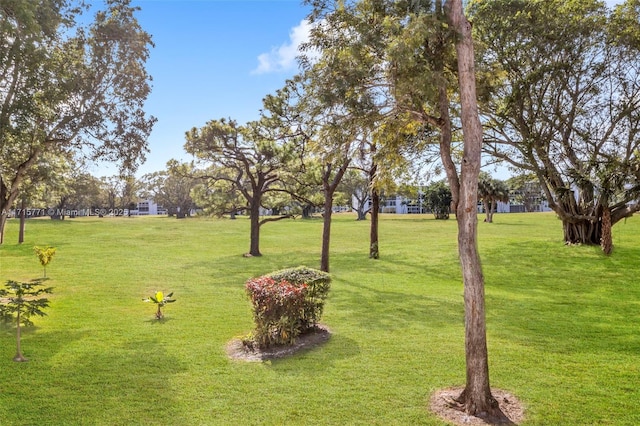 view of home's community featuring a lawn