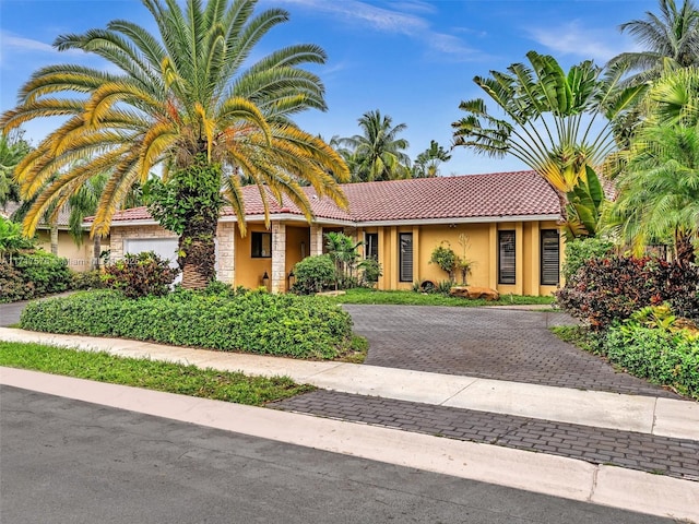 3501 N 30th Ter, Hollywood, FL 33021 - photo 5