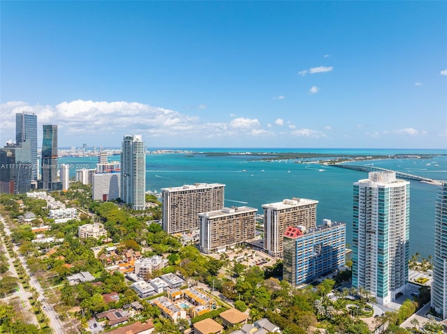 bird's eye view with a water view