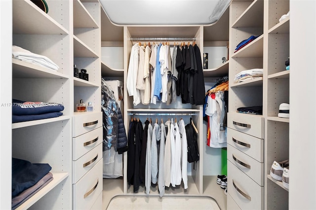 view of spacious closet