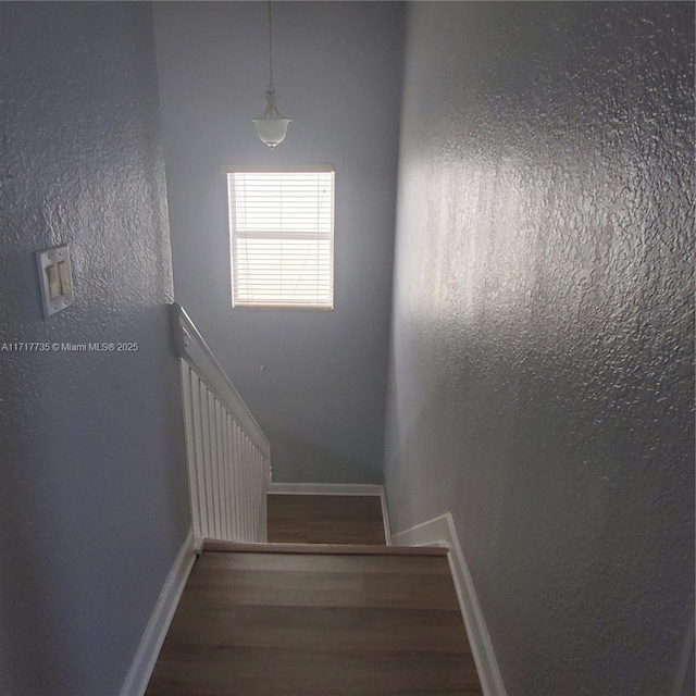 stairway featuring hardwood / wood-style flooring