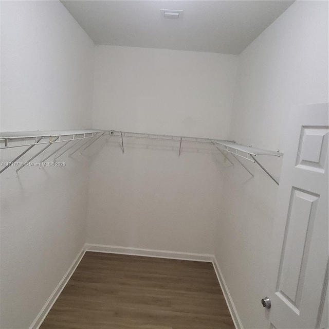 spacious closet featuring dark hardwood / wood-style flooring