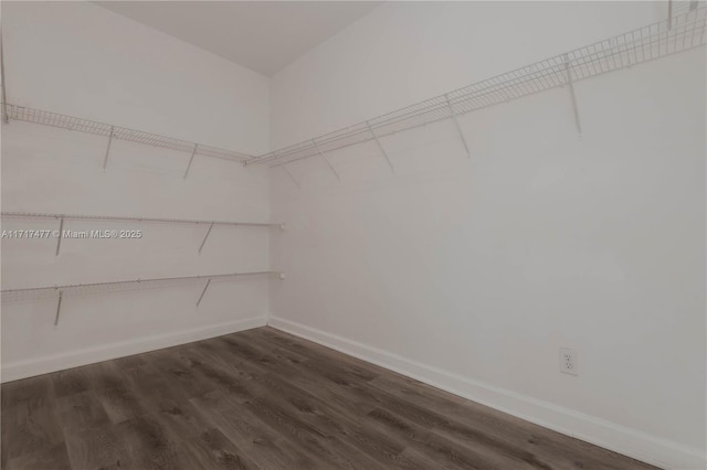 walk in closet with dark wood-type flooring