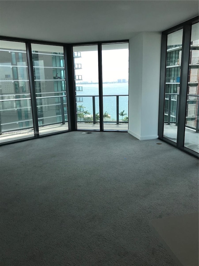 carpeted spare room featuring floor to ceiling windows