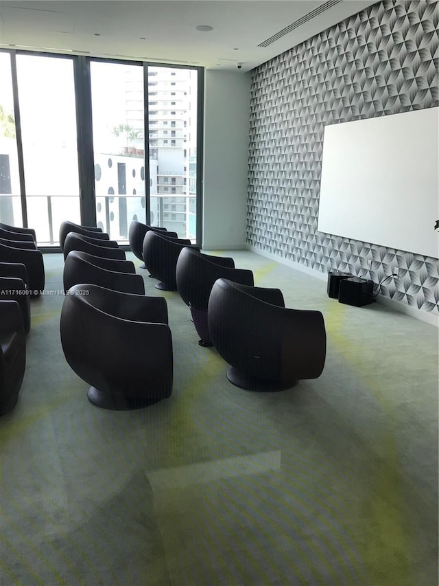 cinema room with carpet floors