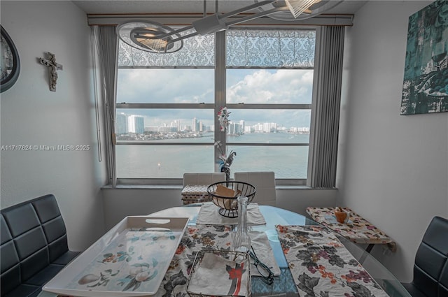 dining space with a water view and plenty of natural light