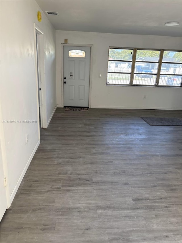 entrance foyer with wood-type flooring