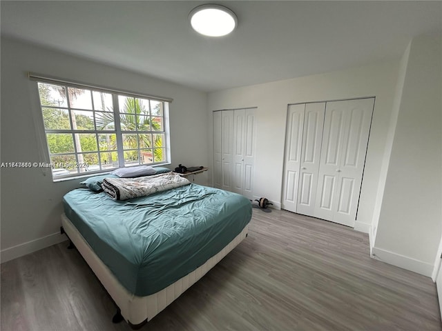 bedroom with hardwood / wood-style floors and two closets