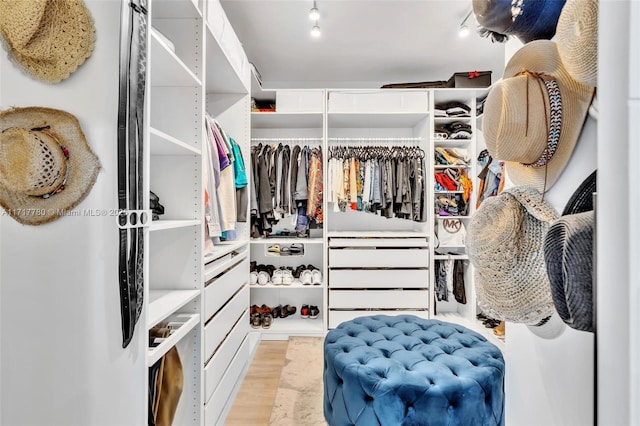 spacious closet with light wood-type flooring