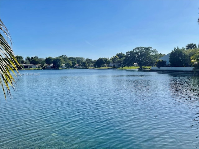 view of water feature