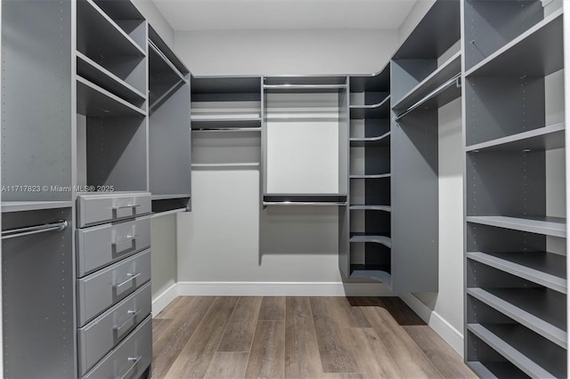 walk in closet with hardwood / wood-style floors