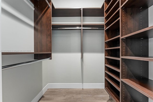 spacious closet featuring light hardwood / wood-style flooring