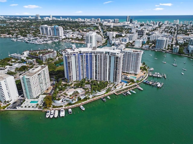 drone / aerial view with a water view and a city view