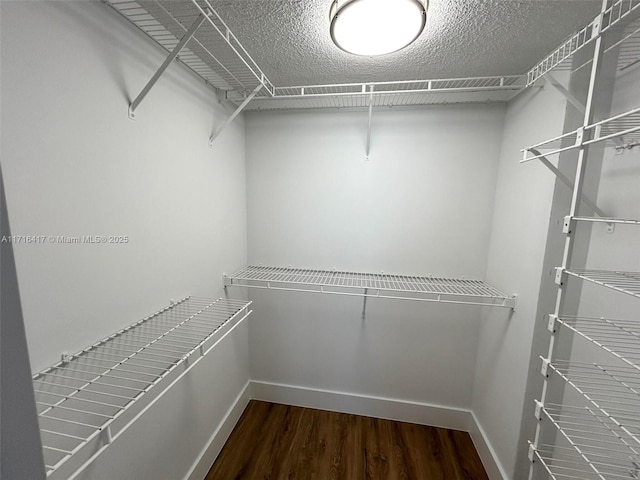 spacious closet featuring dark wood-type flooring