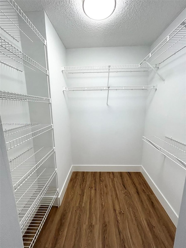 walk in closet with dark wood finished floors