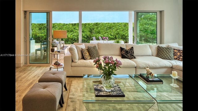 living room with hardwood / wood-style floors