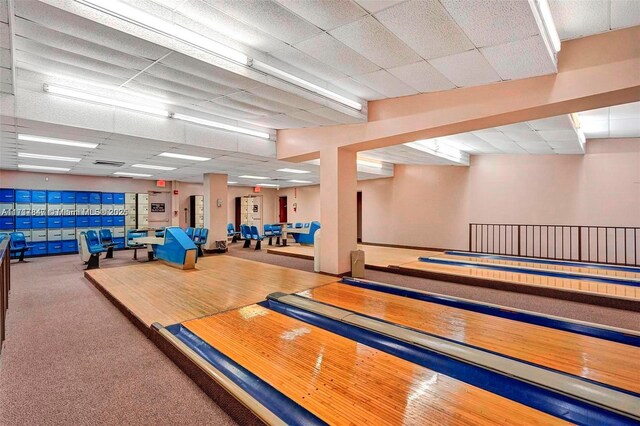 workout area with carpet flooring and a paneled ceiling