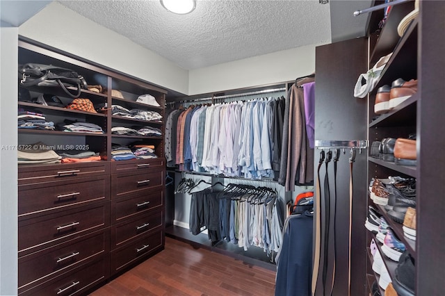 spacious closet featuring dark hardwood / wood-style floors