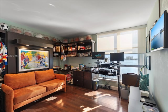 office space featuring dark wood-type flooring