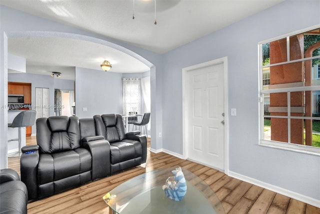 living room featuring hardwood / wood-style floors